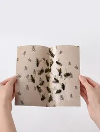 Fly Glue 10pcs/Box Glue Catcher