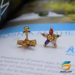 Gold Plated Multi Colour Stone Star Theme Earrings for Women.