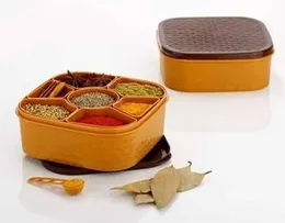 Square Plastic Masala Spice Box