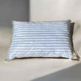 2pcs DreamLuxe Pillows CloudNest Cushions VelvetRest Pillows SnuggleSoft Originals PurePlush Pillows