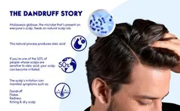 Head & Shoulders Citrus Fresh Anti-Dandruff Shampoo - 400ml