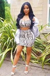 Snake Printed Side Slit Mini Skirt Set