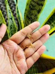 Gold Plated Small Three-Line Earrings with White Fixed Stones for Women & Girls