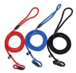 Pet Dog Nylon Rope Training Leash Slip Lead Strap Adjustable Traction Collar Solid Color Durable Outdoor Leads