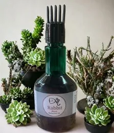Dr Rabbit blood hair growth oil 100ml for men and women