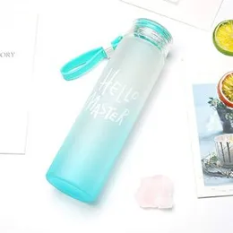 Glass Water Bottle (480ml)