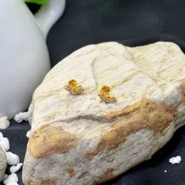 Gold Plated Base Earring For Women