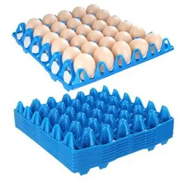 Heavy-Duty Plastic Egg Tray â 30-Egg Capacity (29x29 cm) egg holder