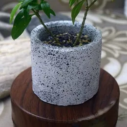Mini Cactus Round Curve Shape Pot Succulent Planter Indoor Outdoor Decoration New Arrival
