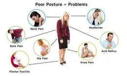 Royal Posture Unisex Energizing Postures Support