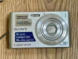 Sony Cyber-shot DSC-W510 12.1MP Digital Camera â Silver