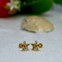Gold Plated Star Colour Stud Earring For Women.