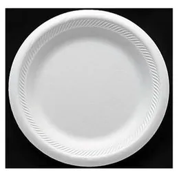 Large Plastic Plate 10 Pack White Color Disposable Plate