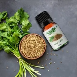 Masala Drops Aromatic Parsley - 10 ML | Pure & Natural | For Continental cuisine, Marination, Seasoning, Salads, Shakes and Smoothies (Pack of 1)