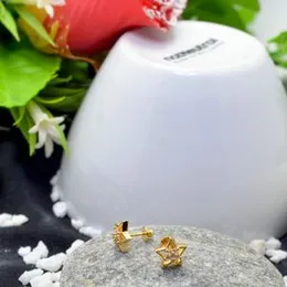 Gold Plated Star Earring For Women.