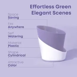 Casa De Amor Self Watering Pots for Indoor Plants | Home Decor, Living Room, Kitchen, Bedroom, Table Top, Office, Gifting | Plants not Included (Baby 