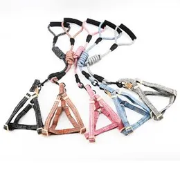 Pet Dog Harness with Leash Set Comfortable Foam Padded Handle Easy Walking Adjustable Dog Vest Pet Harness Durable Pet Harness Set