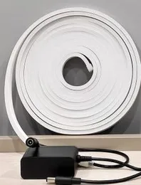 5M LED Neon Strip Lights With Adapter (P08019)