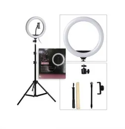 LED Ring Fill Light 10 Inch DX-260 With Phone Holder and Stand
