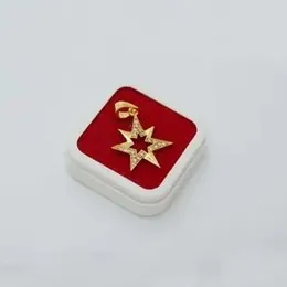 Gold Plated New Stone Star Pendant.
