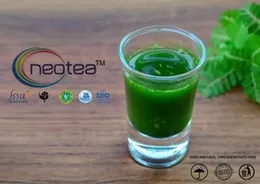 Neotea Keelanelli Powder | Bhumyamalaki | Phyllanthus Niruri Powder | 200 GM pack of 1