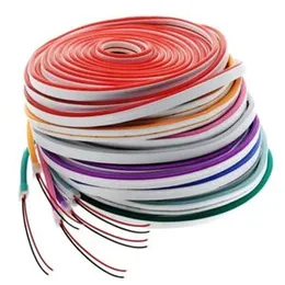 12V DC Neon Strip Light - 5m