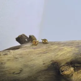 Gold Plated Stylish Design Beauty Stone Stud Earrings For Women