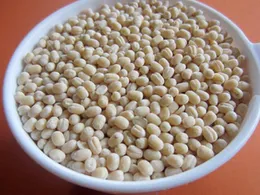 Black Gram 1kg à¶à¶¯à· à®à®³à¯à®¨à¯à®¤à¯