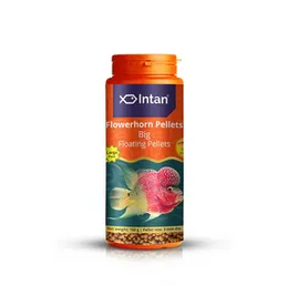 Intan Growel Flowerhorn Pellets Big 150g (3mm Floating) Highly Nutritious Fish Food for All Types of Flowerhorn & Kamfa Fish Feed