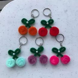 pipe cleaner  cherry keytag