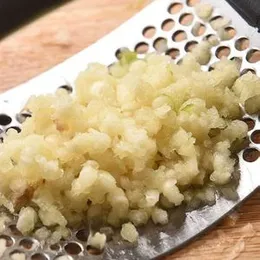 Garlic Press Squeezer - Garlic Presser Stainless Steel Garlic Ginger Rocker/Crusher/Chopper/Squeezer with Ergonomic Handle - Garlic Cutting Mince Tool