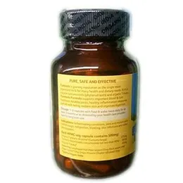 ORGANIC INDIA Turmeric Formula 60 Veg Capsules
