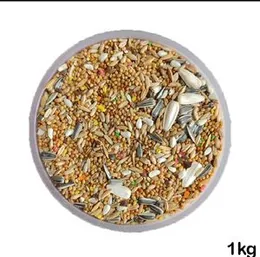 Cockatiel Seed Mix â Sunflower & Bajiri Blend 14+ Seed Mix for Cockatiels, Parrots & Other Pet Birds â Complete Natural Nutrition