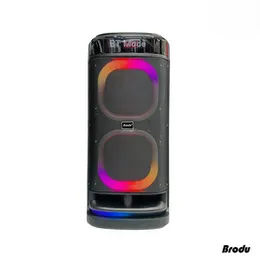 Brodu BTS 2120 Wireless Speaker - Dual 8" Bluetooth Karaoke Party Box with RGB Lights