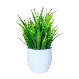 Flora Planet Artificial Plants for Home, Mini Artificial Plants Fake Plant, Artificial Potted Plants for Decorative Plants Artificial Flowers for Deco