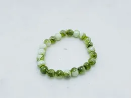 Serpentine Gemstone Beaded Bracelet for Men & Women
