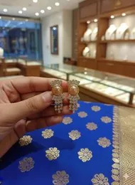 Elegant Stone Brooch