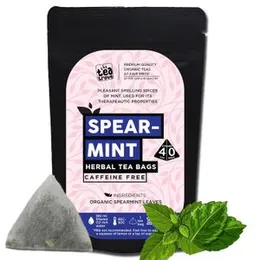 The Tea Trove Organic Spearmint Tea Bags - 40 Eco-Friendly Tea Bags (Pack of 1) FROM INDIA(SAM)