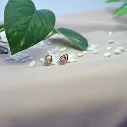 Gold Plated Musical Symbol With Flower Stone Earring For Women.