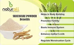 B Naturall 100% Shatavari Root Powder/ Asparagus Powder - ( 200 GM ) by B Naturall