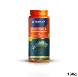 Intan Growel Marine Algae & Seaweed Wafers Big 160g (1.7mm Slowly Sinking) Highly Nutritious Ornamental Fish Food for Marine fish - Surgeons, Tangs & 