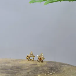 Gold Plated Star With Stone Beauty Earrings