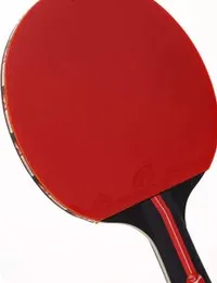 Table Tennis Racket Pair p01973