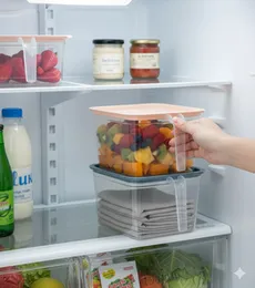 Multi Purpose Storage Box With Handle p01945