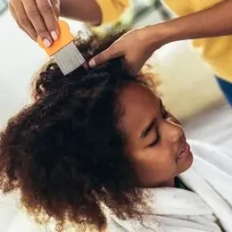 Lice Comb For Children