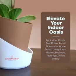 Casa De Amor Self Watering Pots for Indoor Plants | Home Decor, Living Room, Kitchen, Bedroom, Table Top, Office, Gifting | Plants not Included (Dusky