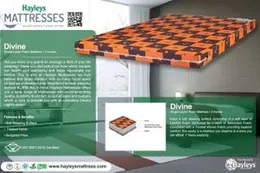 Hayleys | Divine | Foam Mettresses | 4 Inch | 7 Year Warranty (75*72*4)