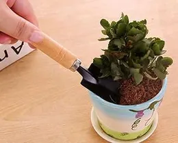 Casa De Amor Gardening Tools kit Hand Cultivator, Small Trowel, Trans-Planter 7 Inches (Mini Set of 3) (Pack of 1) (FROM INDIA)NUZ