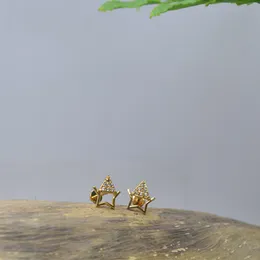 Gold Plated Star With Stone Beauty Earrings.