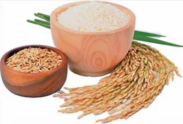 Premium Raw Paddy â Natural Unhulled Rice â 1kg